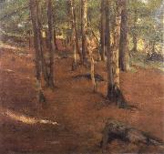 Landscape in Fosset